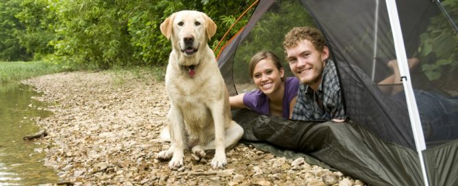 Preparing For the Perfect Fall Camping at RV Park Estes CO
